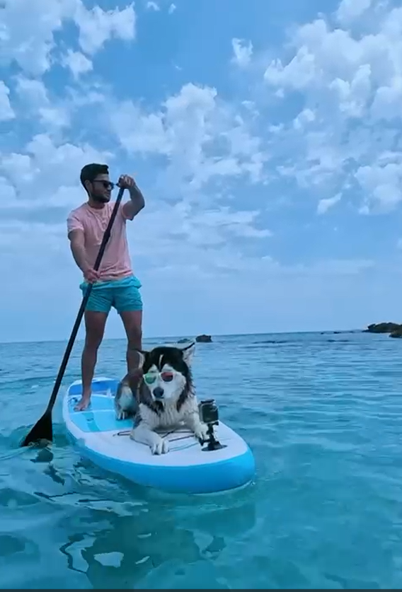 Paddle avec Husky